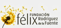 Fundacion Fèlix Rodriguèz