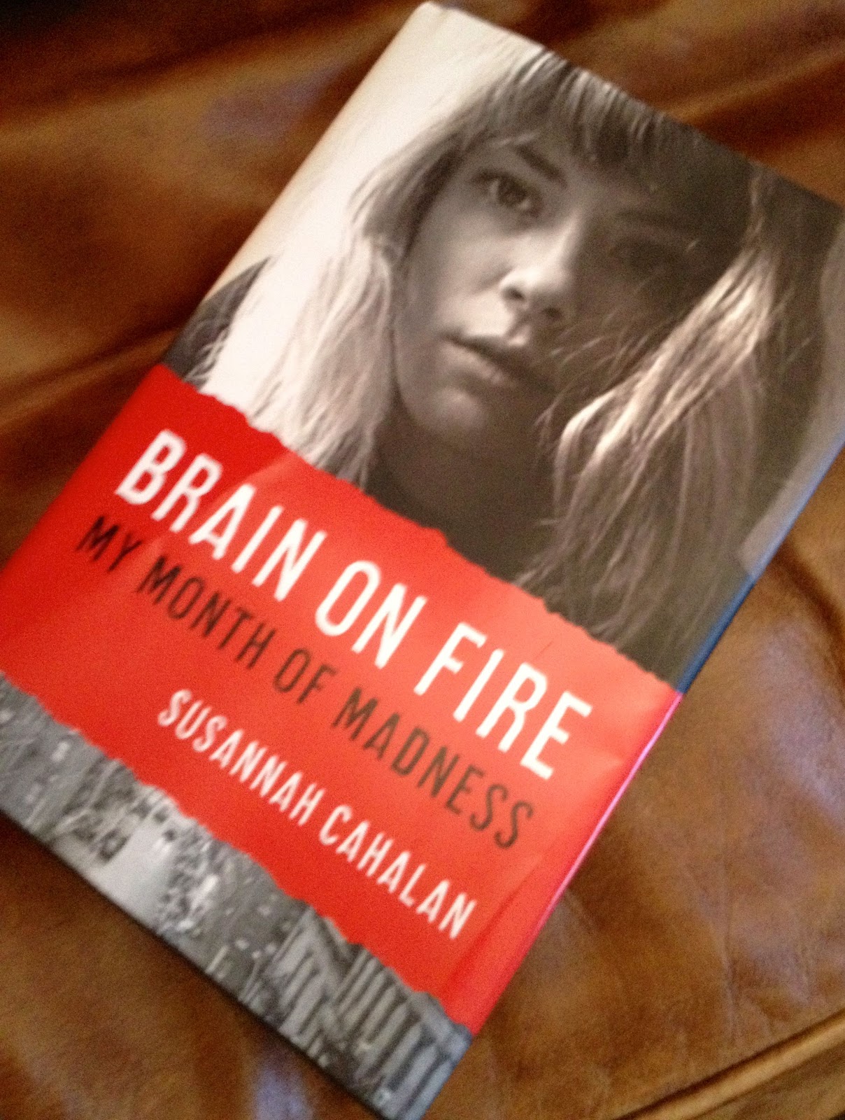 Bibliofilly Brain on Fire My Month of Madness