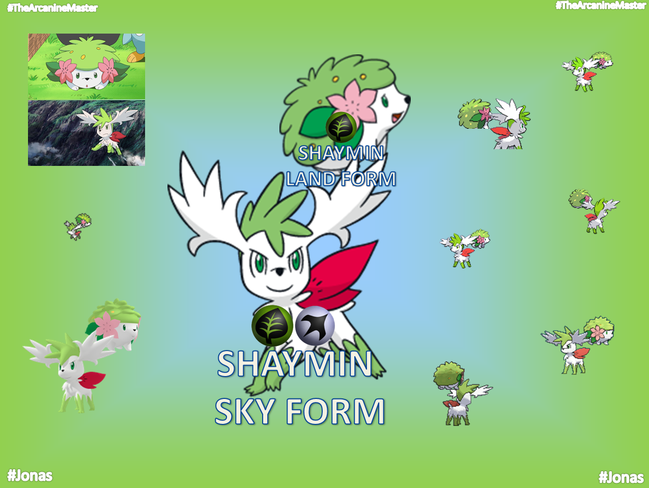 POKÉMON: Pokémon da Semana - Shaymin
