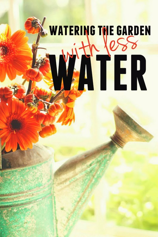 Boston Green Blog Save Water while Gardening