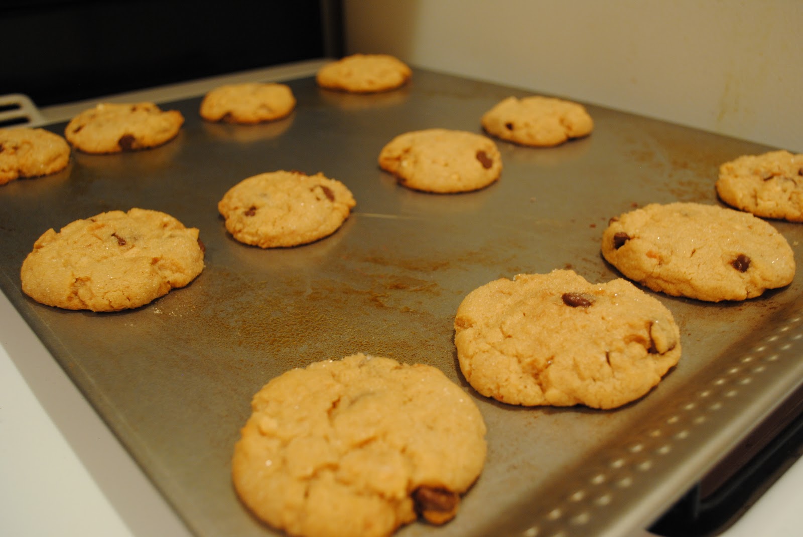Peanut Butter Chocolate Chip Cookies a la Magnolia Bakery The Ghost Guest