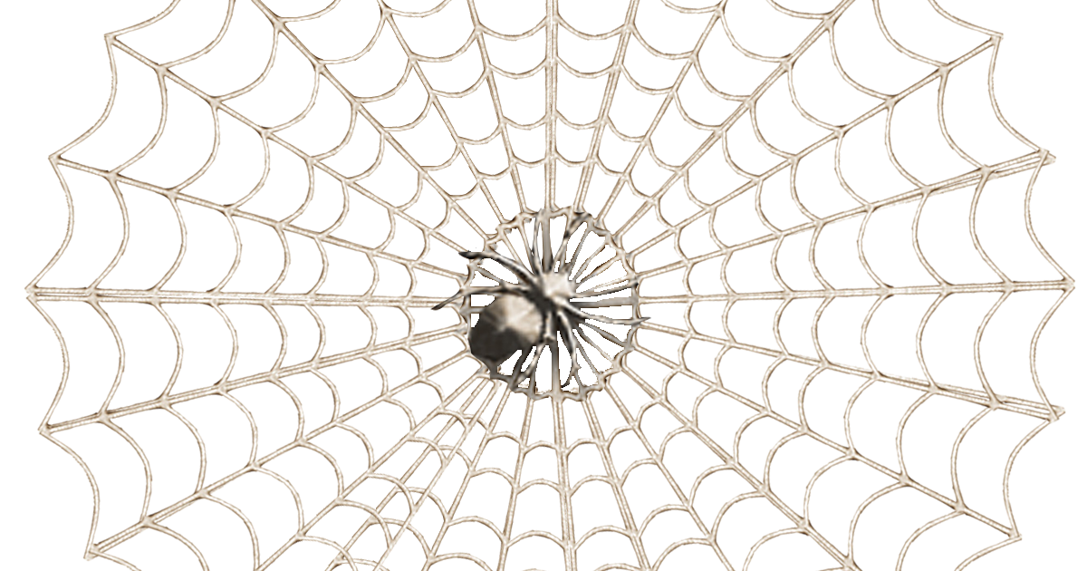 GrannyEnchanted.Com -Free Elements: Free Spider Web with Spider PnG