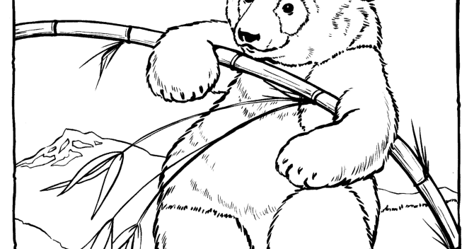 Kids Page: - Zoo-animal-coloring-pages-998 COLORING WS Coloring Pages