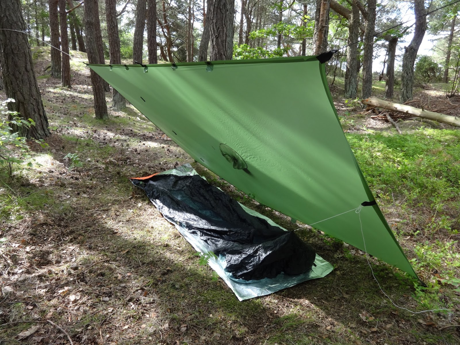Cesar and The Woods Borah Gear Bivies Double Reviews Long Term of Cuben and First Impressions