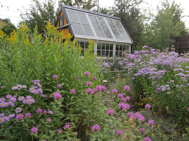 montana wildlife gardener two