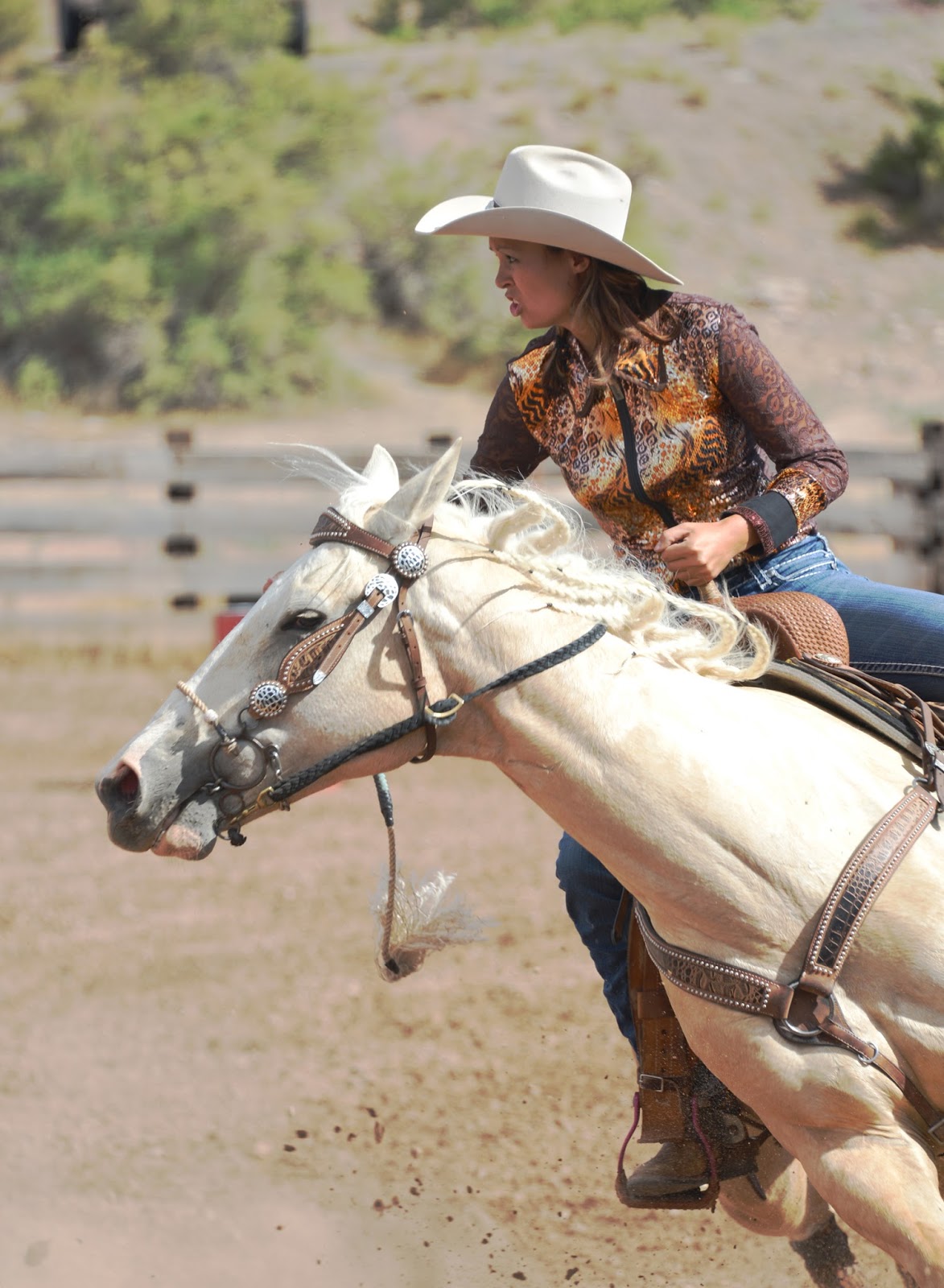 Here's to all about Fruita. Rimrock rodeo number 3, 2013