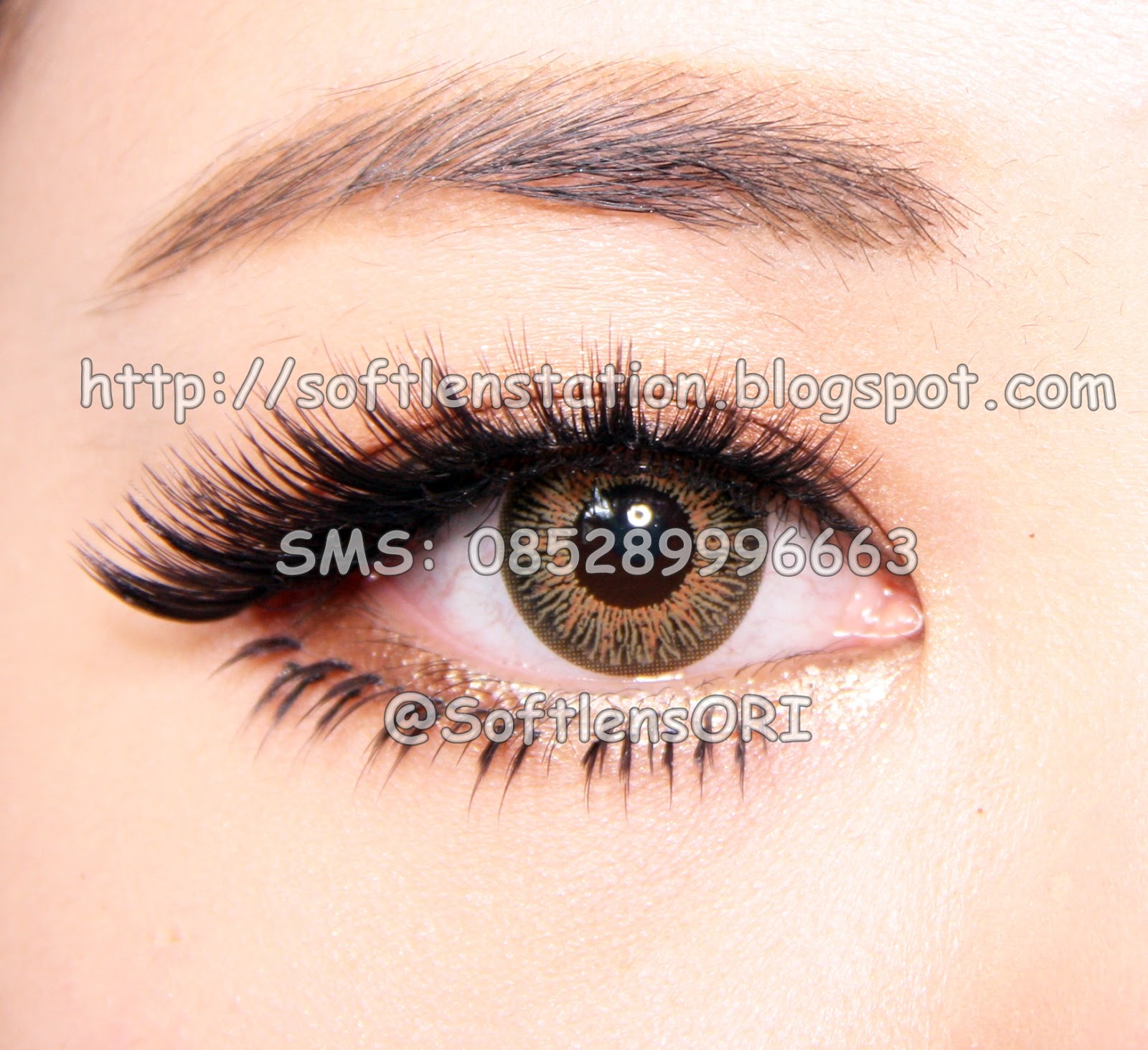 softlensoriginal agustus 2015 softlensoriginal agustus 2015