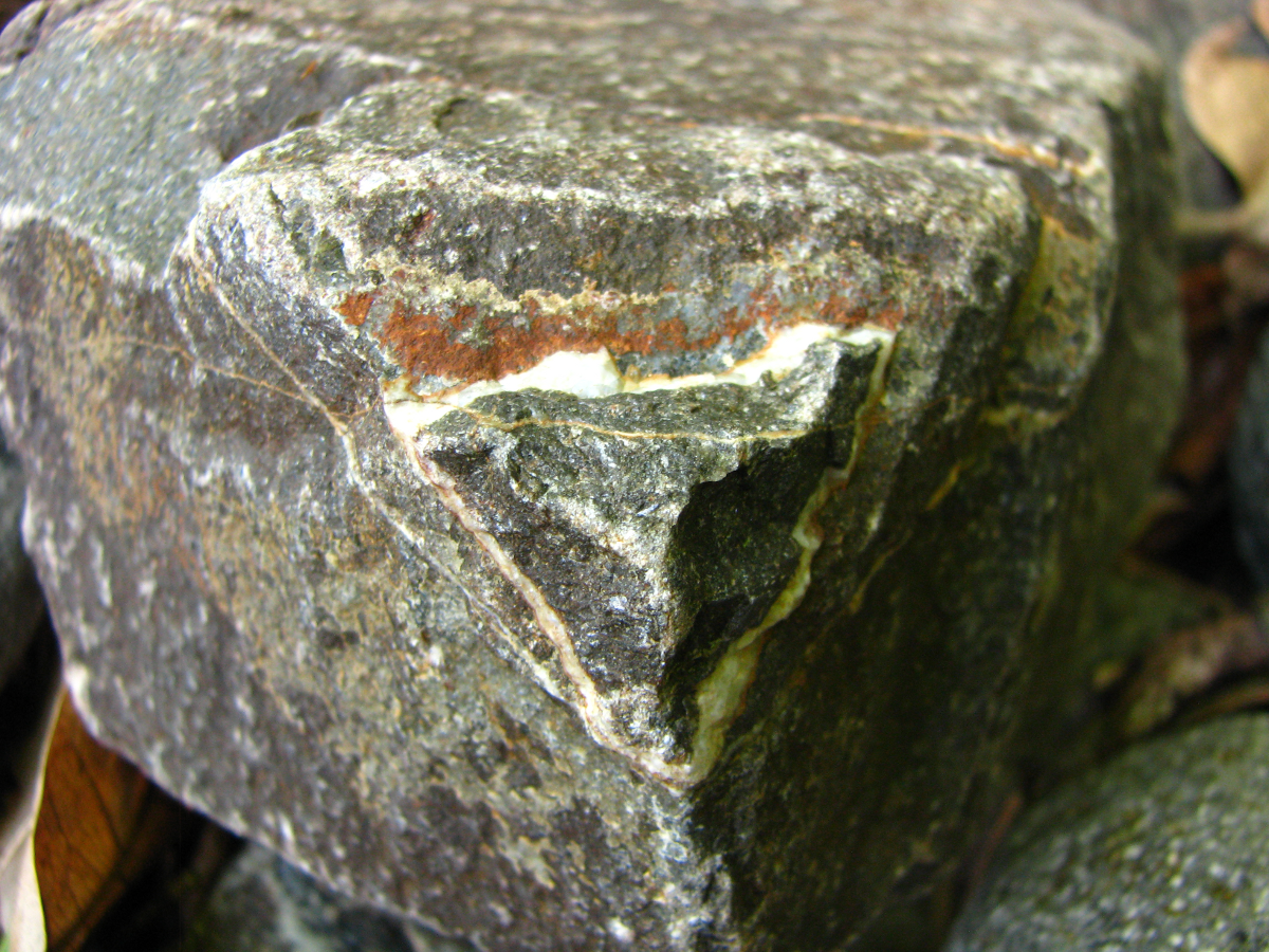 Life in Costa Rica Triangle Rock