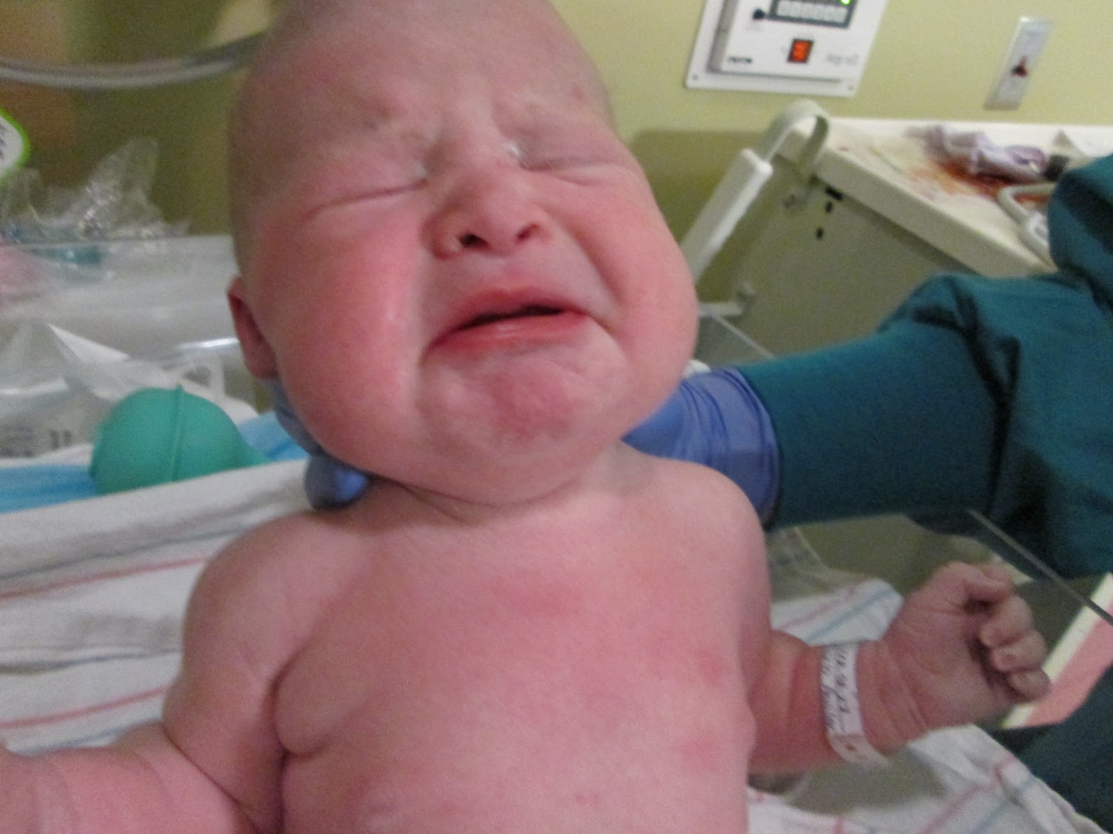 The Lewis Family Ellie Marie Lewis