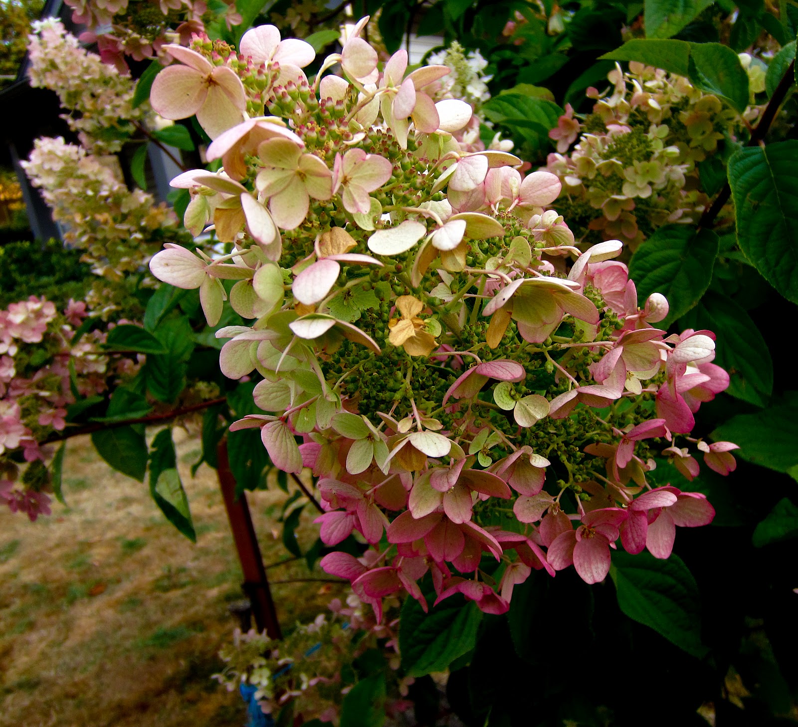 Thom Zehrfeld Photography Cool Flower Pictures