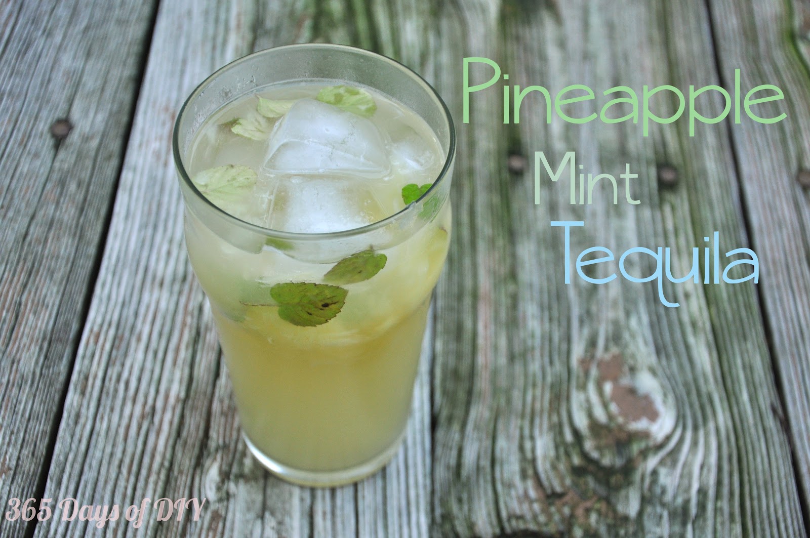 365 Days of DIY Pineapple Mint Tequila