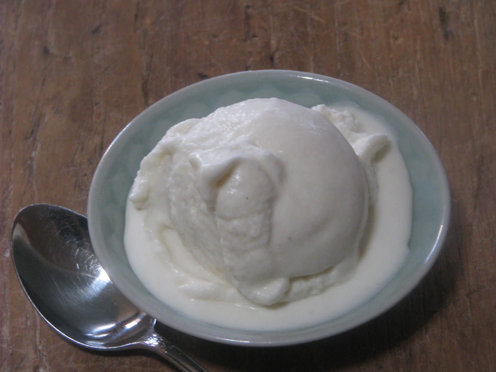 Aprons and Apples EASY 3 ingredient Coconut Milk Pina Colada Ice Cream