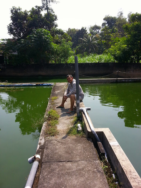 Kolam Pembesaran