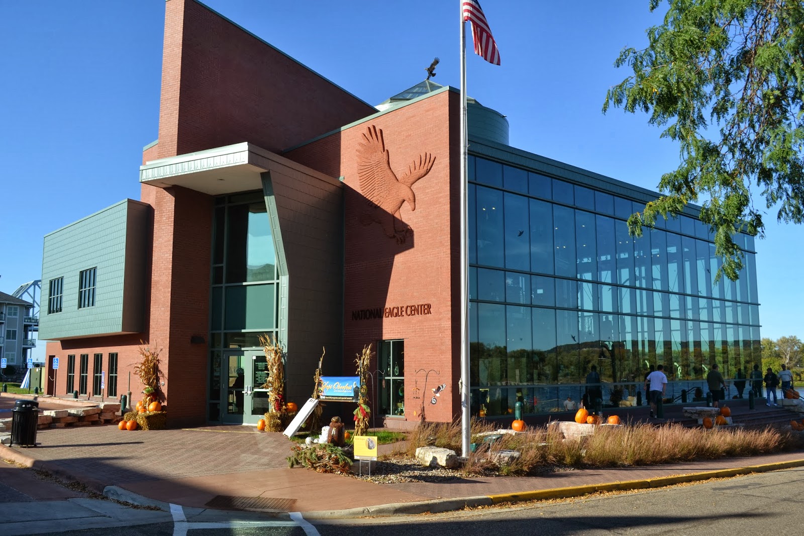 Travelin' Man: National Eagle Center
