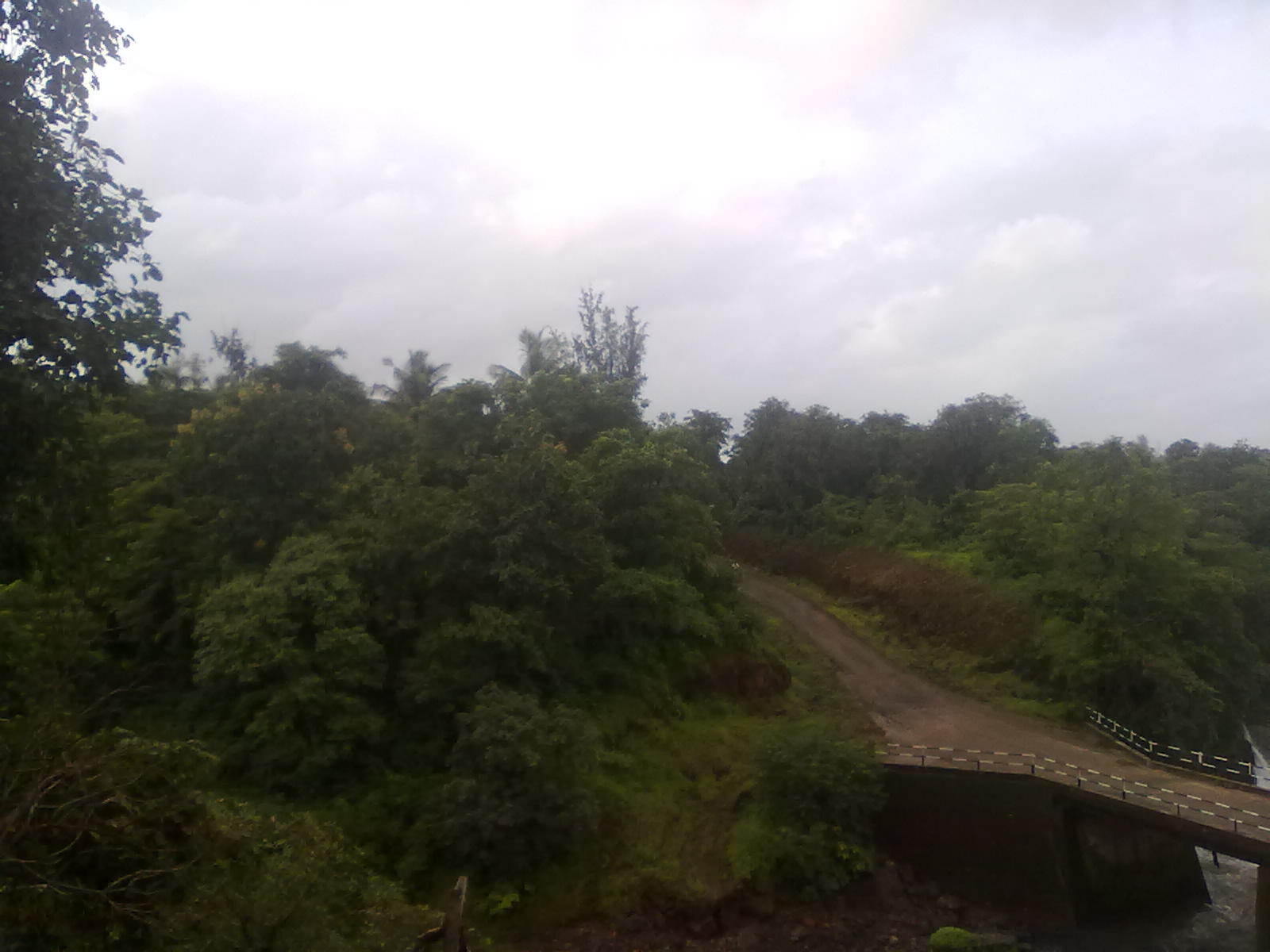 उत्तम फार्मकडे आणणारा रस्ता