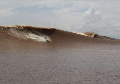 Ombak Bono di Sungai Kampar, Riau