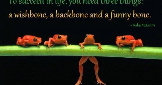 backbone meaning backbone meaning