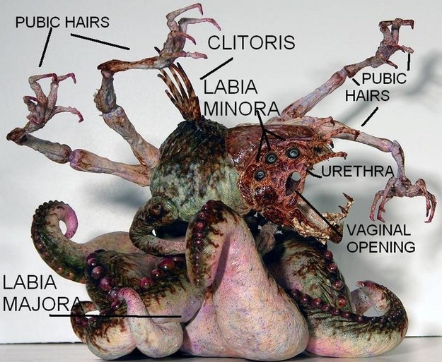 picture of vaginal war Holland teen pic