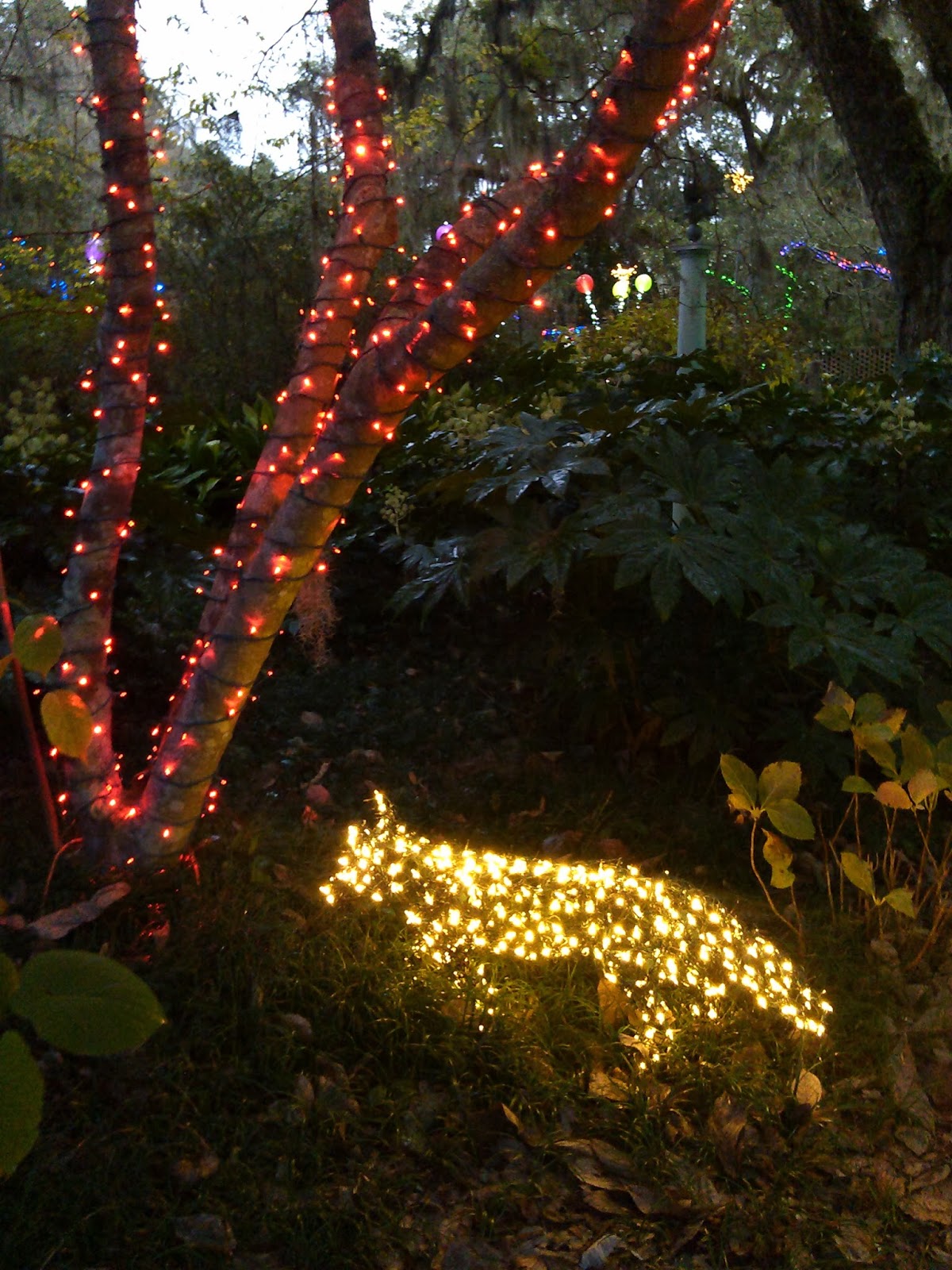 Brookgreen Gardens, Lowcountry Zoo, and Center for American Sculpture Nights of a Thousand Candles