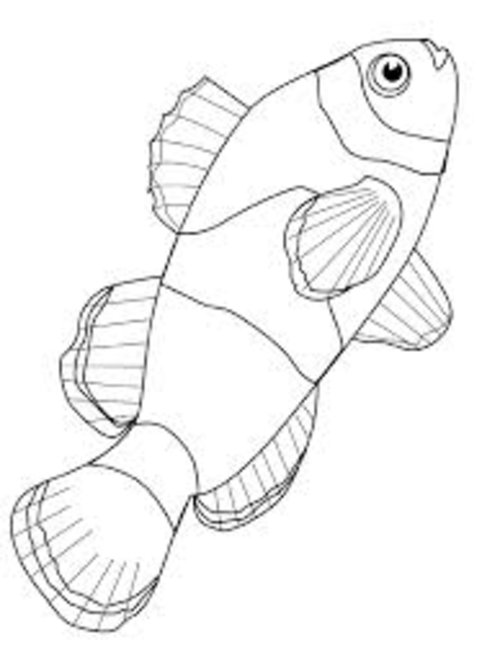 Fish Coloring Pages For Kids >> Disney Coloring Pages