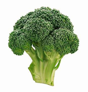 -sahabat brokoli-