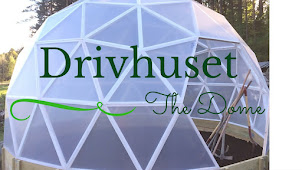 Drivhuset - the Dome