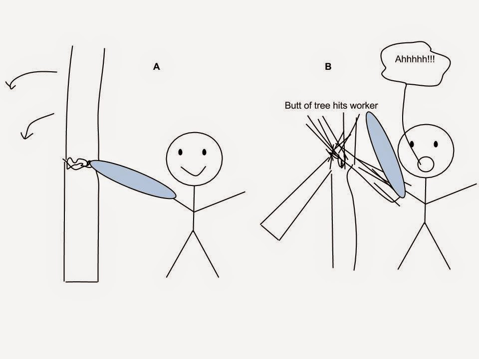 Natural Notes Tree Worker Safety