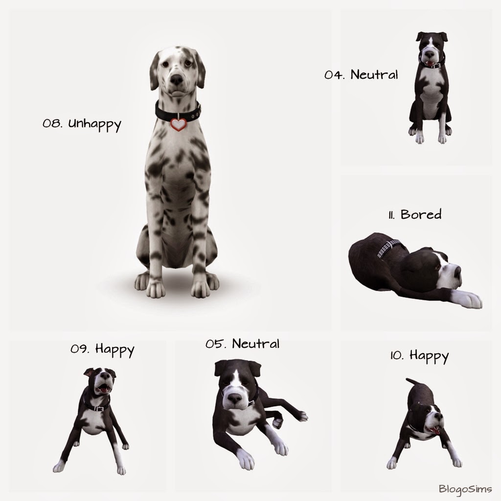 Best Daily Sims 3 S3 Large Dog Poses by BlogoSims