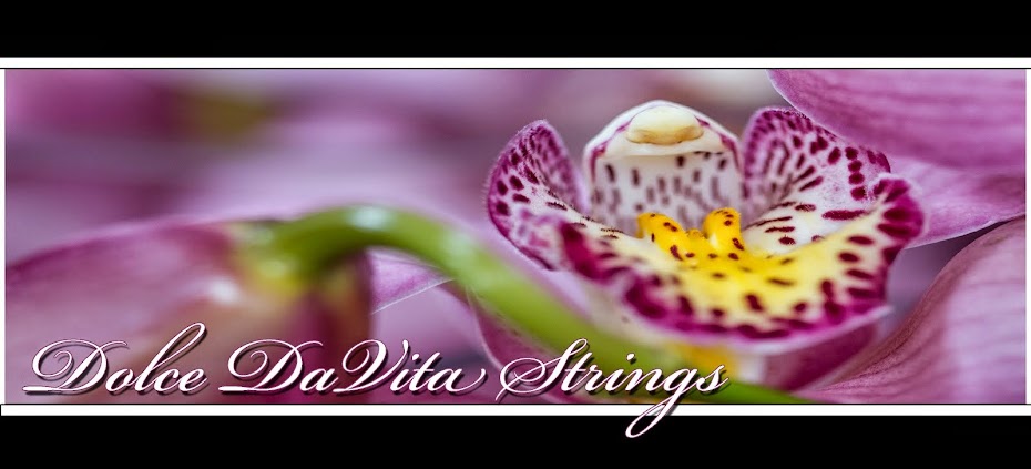 Dolce DaVita Strings