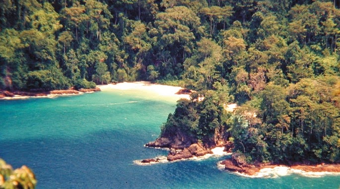 Taman Nasional Meru Betiri Yang Menakjubkan | KOMUNITAS BLOGGER INDONESIA