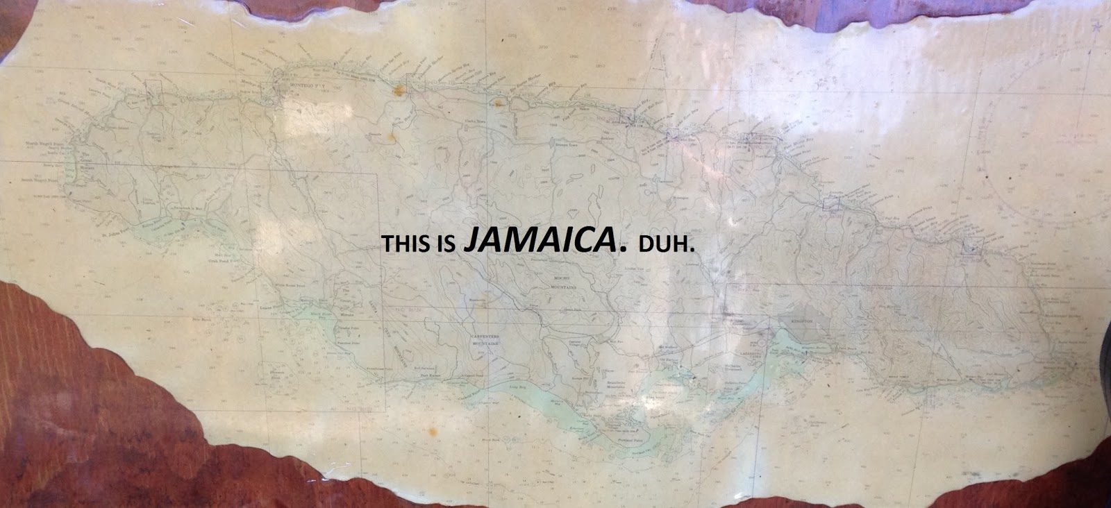 Casualties Of The Hoard