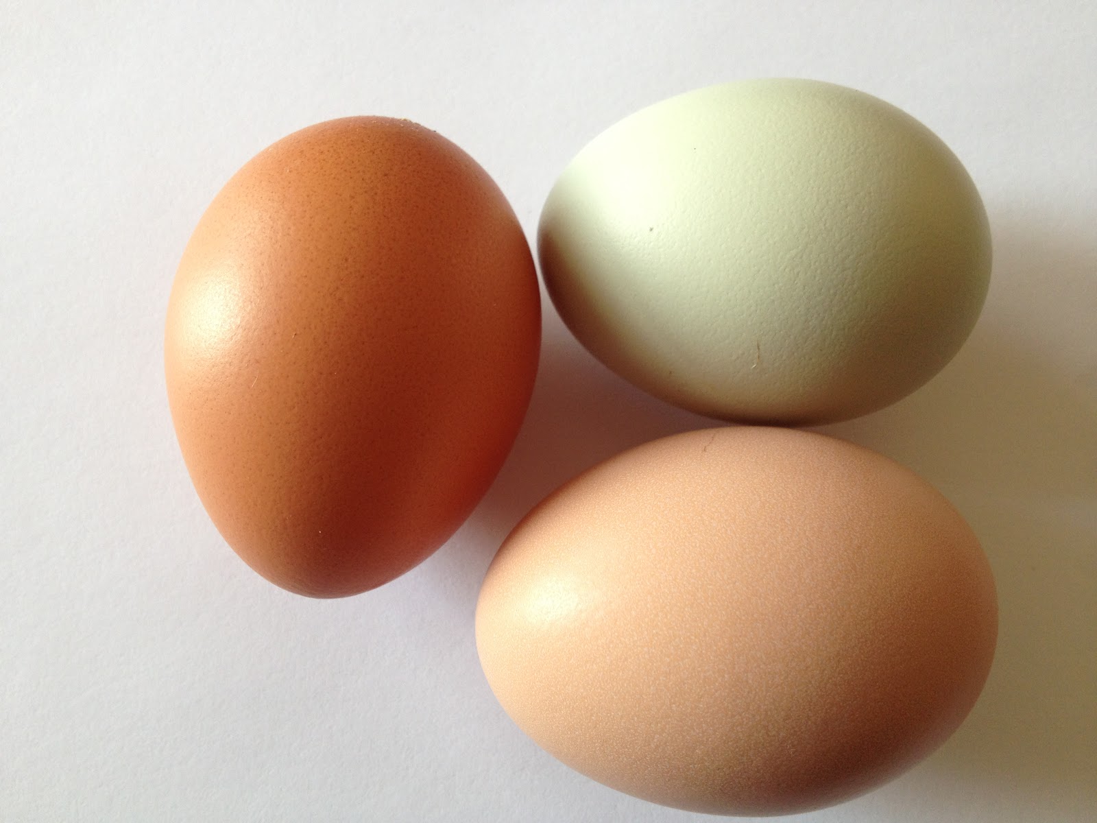 Technicolor Dream Eggs