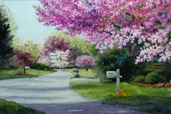 in garden beautiful spring