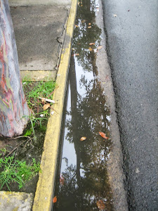 AUNQUE jaiga caminao de San Juan a RIO