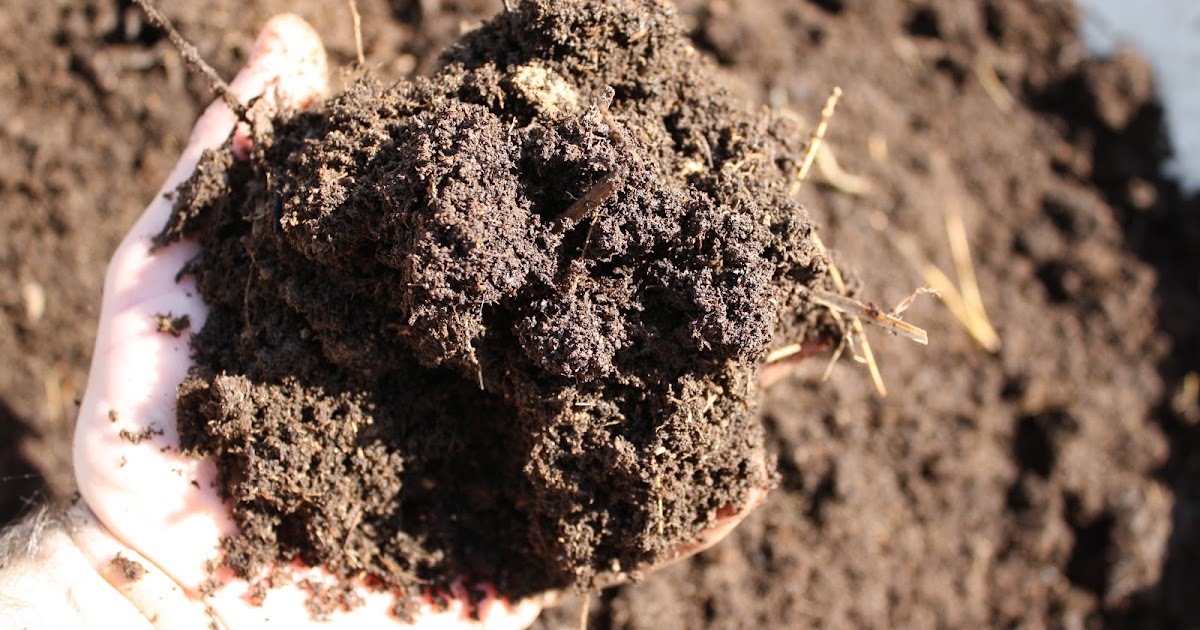 The Redeemed Gardener: "Great Soil is a Gardens Foundation", Part 1