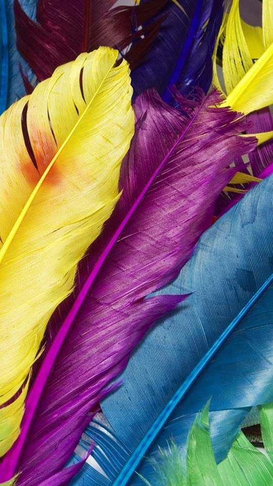 Colorful Feathers Background  Android Best Wallpaper