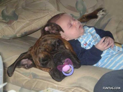  Kids And Pets Cutest Funny Pictures