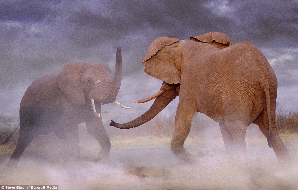 How to Prepare for a Dust Storm How to Prepare for a Dust Storm