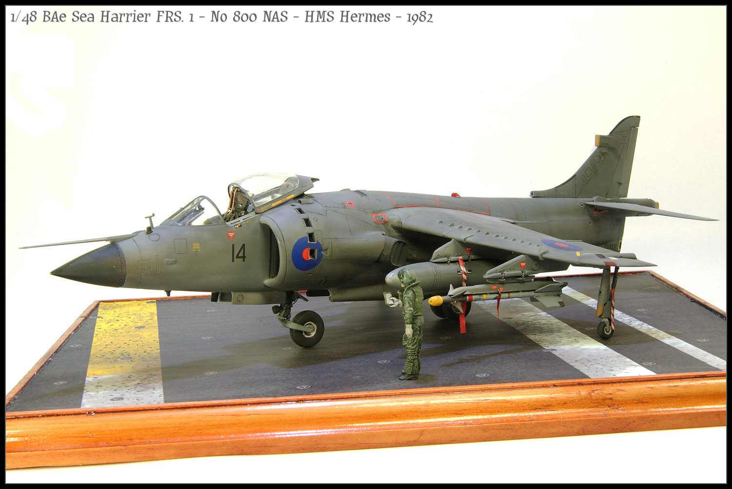 Sea-Harrier-FRS-77.jpg