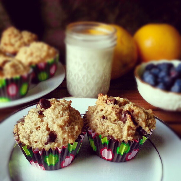 Chocolate Chip Quinoa Muffins Foodie in WV