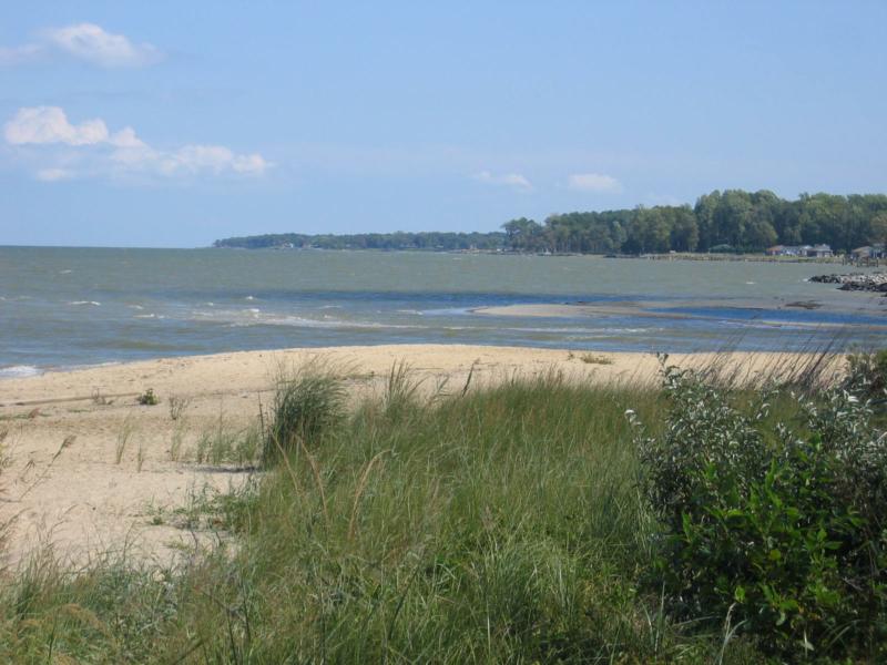 Lewis Trimble So Why The Northern Neck