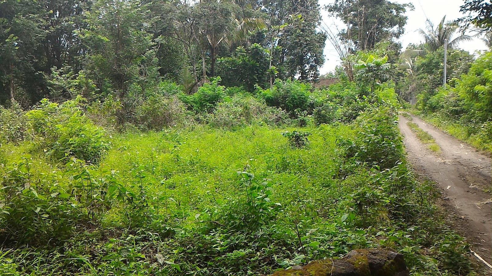 Jual Property Jual Property