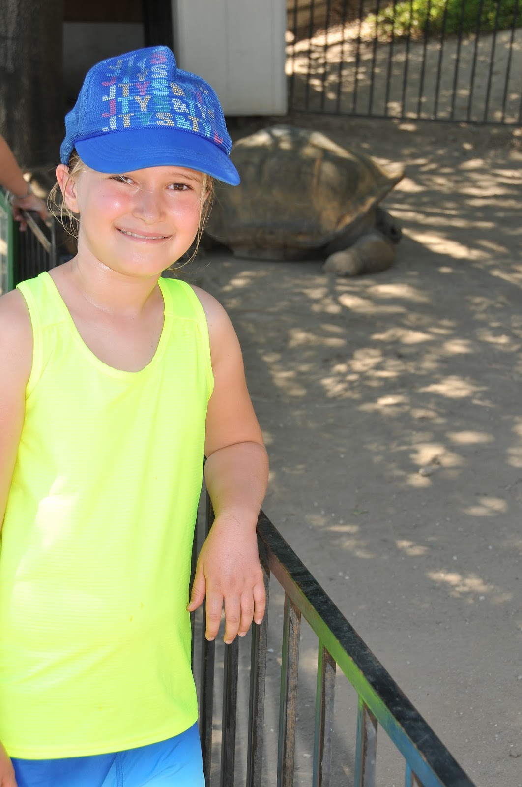 Good Times and Chaos Moorpark Animal Training College