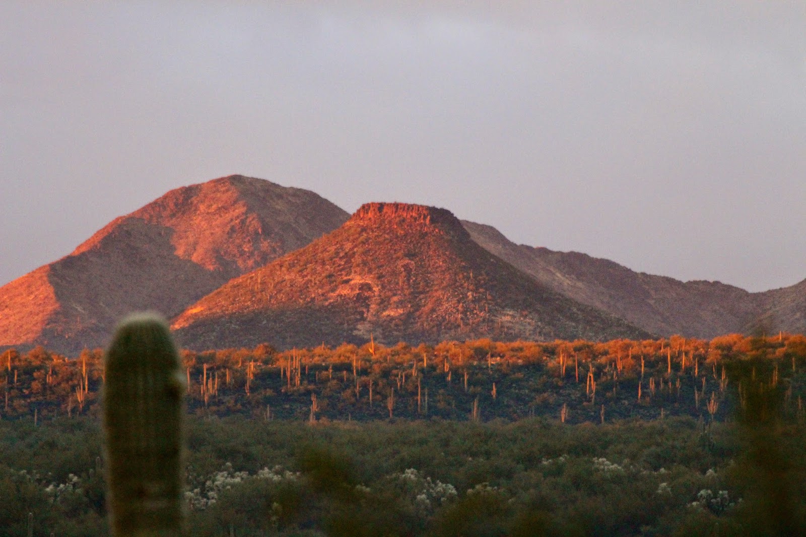 Just West of My Heart Writing New River On the Path to a Local History