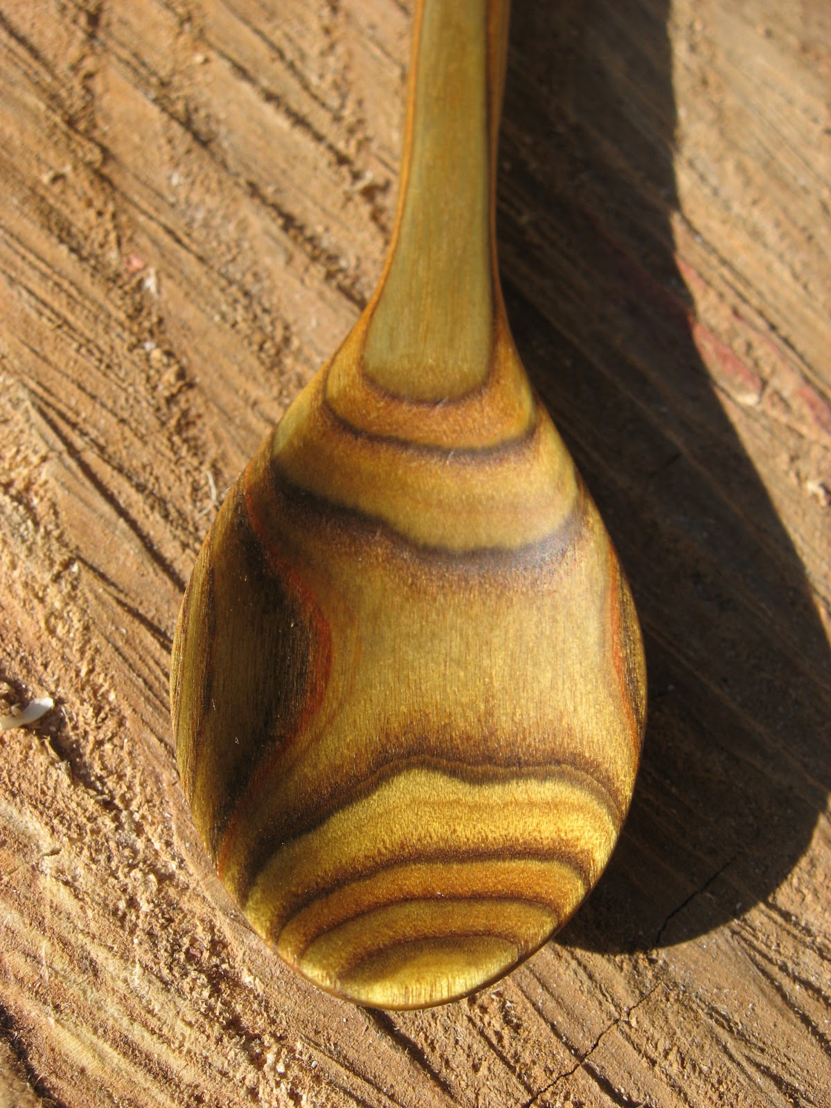 Survival in the Wasteland Sumac and Honey Locust Spoons