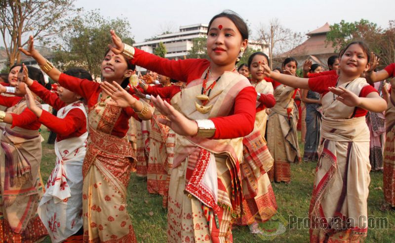 essay on bihu essay on bihu