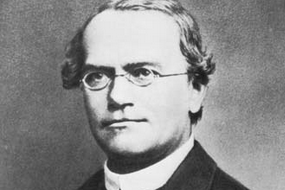 Nih Gregor Mendel - Pelopor Teori Genetika Moderen