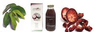 obat herbal ace maxs penyakit kista ovarium