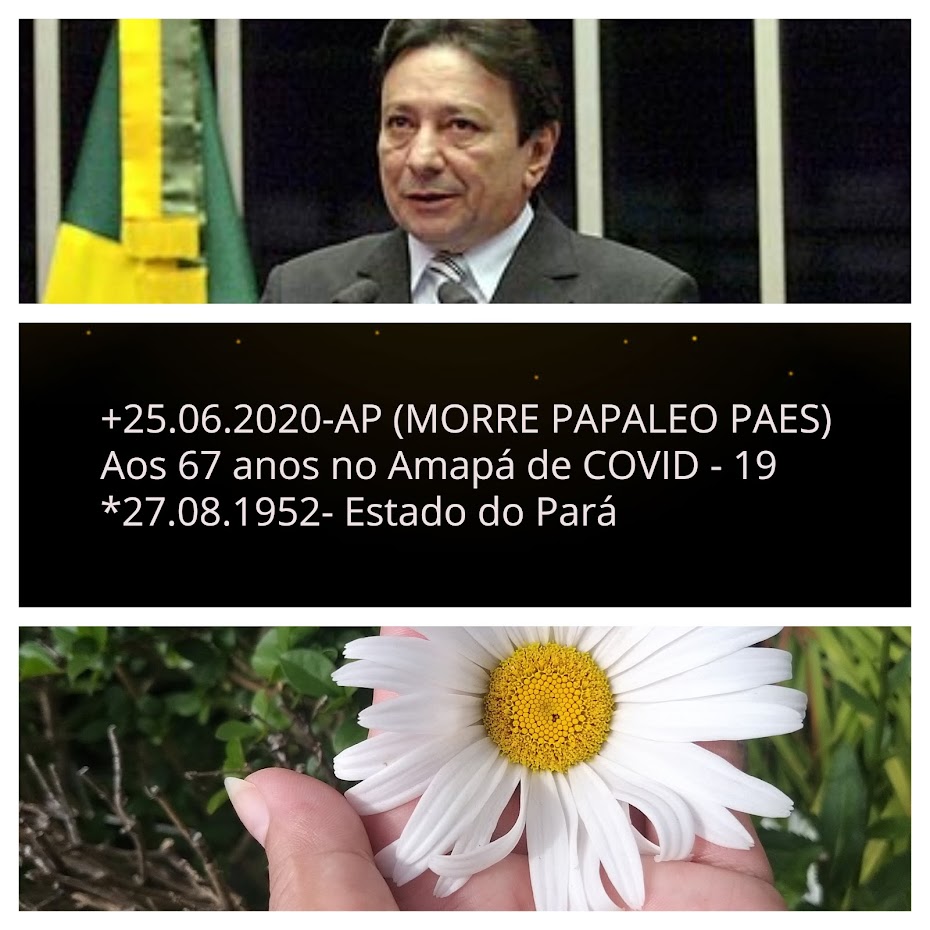 +25.06.2020 - MORRE PAPAELO PAES NO AMAPÁ
