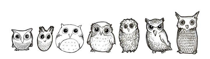 owls line